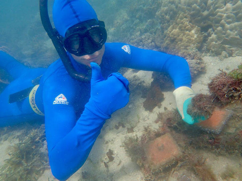 Intern diver completing coral research